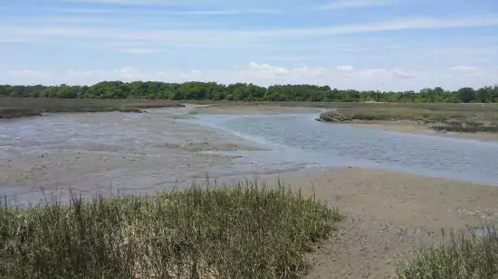 Russell Burgess Coastal Preserve